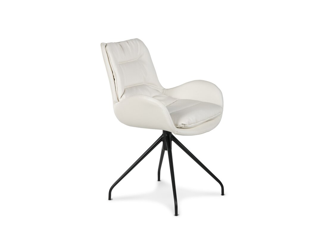 ZEBRA CHAIR WITH ARMRESTS